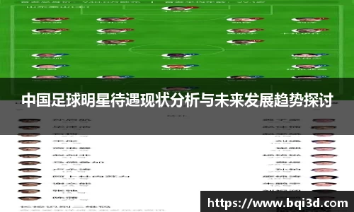 中国足球明星待遇现状分析与未来发展趋势探讨